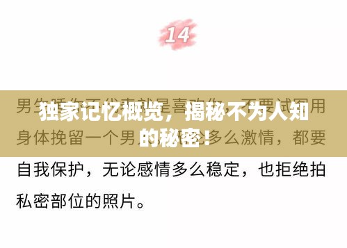 獨家記憶概覽，揭秘不為人知的秘密！