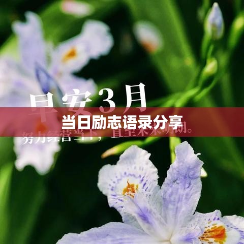 當(dāng)日勵(lì)志語錄分享