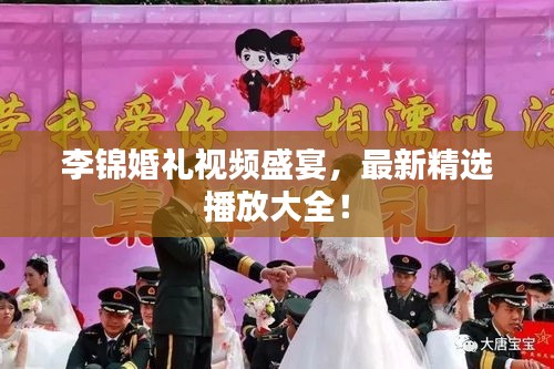 李錦婚禮視頻盛宴，最新精選播放大全！