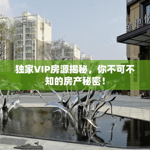 獨(dú)家VIP房源揭秘，你不可不知的房產(chǎn)秘密！