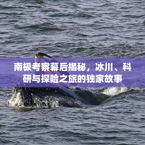 南極考察幕后揭秘，冰川、科研與探險之旅的獨家故事