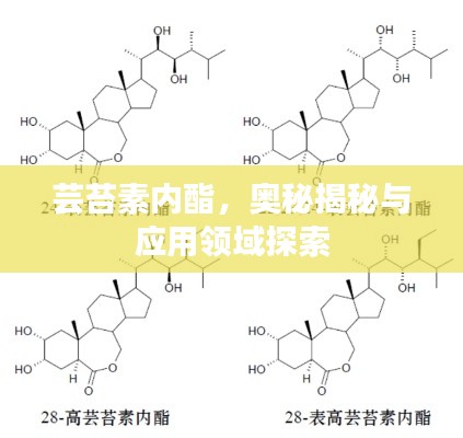 蕓苔素內(nèi)酯，奧秘揭秘與應(yīng)用領(lǐng)域探索
