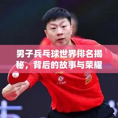 男子兵乓球世界排名揭秘，背后的故事與榮耀之旅