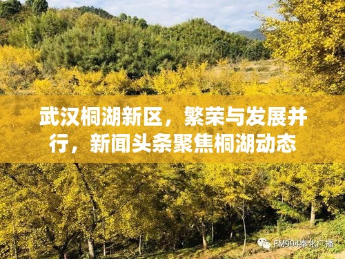 武漢桐湖新區(qū)，繁榮與發(fā)展并行，新聞?lì)^條聚焦桐湖動(dòng)態(tài)