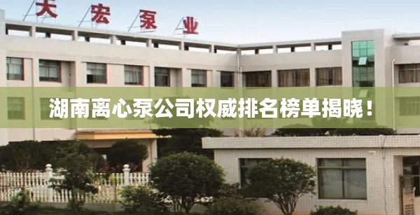 湖南離心泵公司權(quán)威排名榜單揭曉！