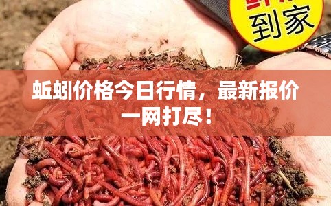 省吃細用