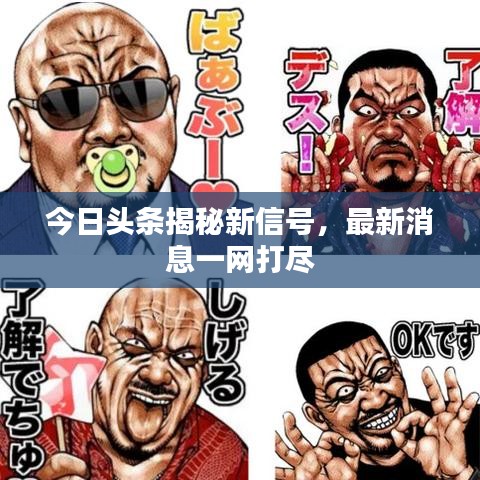 今日頭條揭秘新信號(hào)，最新消息一網(wǎng)打盡