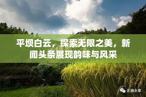 平壩白云，探索無(wú)限之美，新聞?lì)^條展現(xiàn)韻味與風(fēng)采