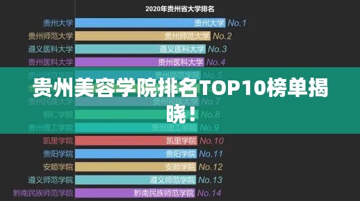 貴州美容學(xué)院排名TOP10榜單揭曉！