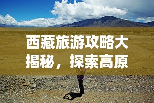西藏旅游攻略大揭秘，探索高原之美的最佳路線