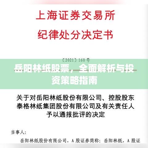 岳陽(yáng)林紙股票，全面解析與投資策略指南