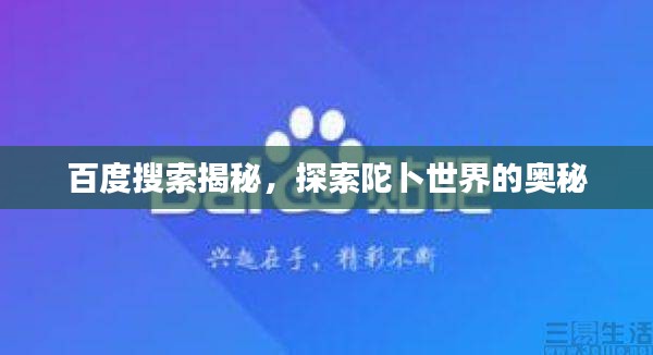 百度搜索揭秘，探索陀卜世界的奧秘