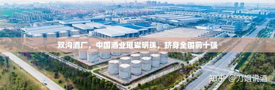 雙溝酒廠，中國酒業(yè)璀璨明珠，躋身全國前十強(qiáng)