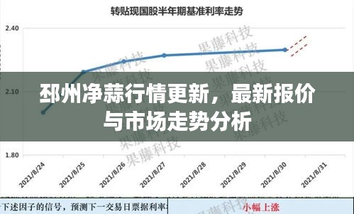 邳州凈蒜行情更新，最新報(bào)價(jià)與市場(chǎng)走勢(shì)分析