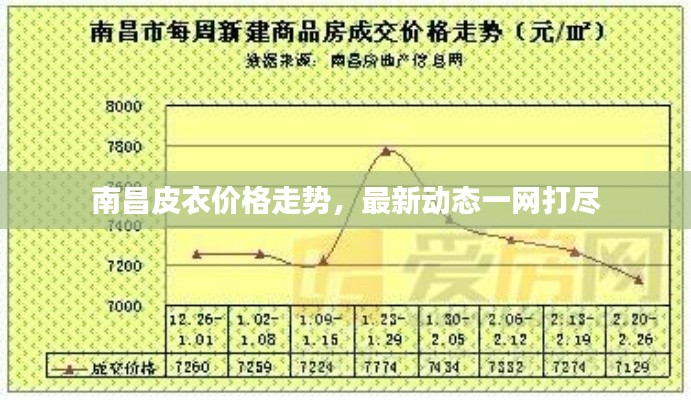 南昌皮衣價格走勢，最新動態(tài)一網(wǎng)打盡