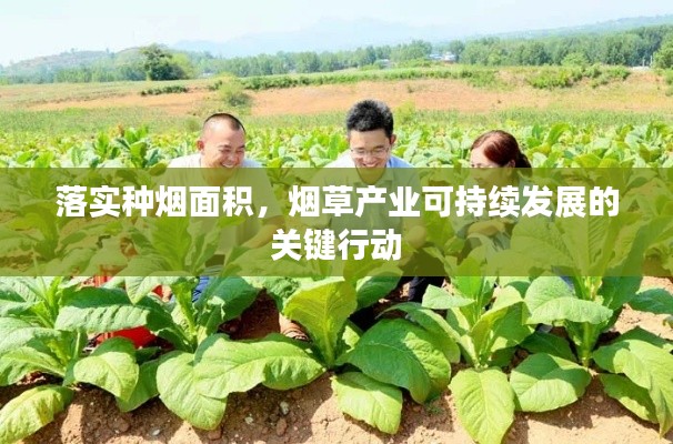 落實(shí)種煙面積，煙草產(chǎn)業(yè)可持續(xù)發(fā)展的關(guān)鍵行動(dòng)