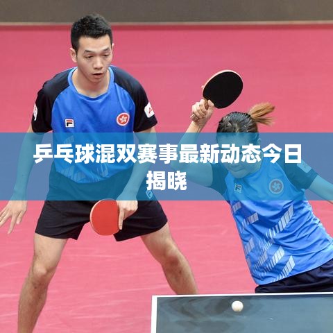 乒乓球混雙賽事最新動(dòng)態(tài)今日揭曉