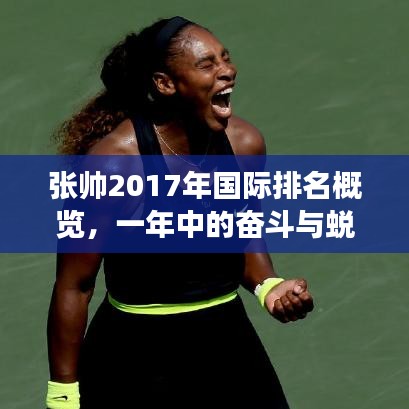 張帥2017年國(guó)際排名概覽，一年中的奮斗與蛻變