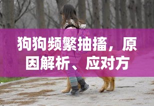 狗狗頻繁抽搐，原因解析、應(yīng)對方法與關(guān)愛重點
