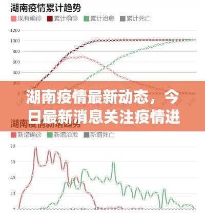 湖南疫情最新動態(tài)，今日最新消息關注疫情進展