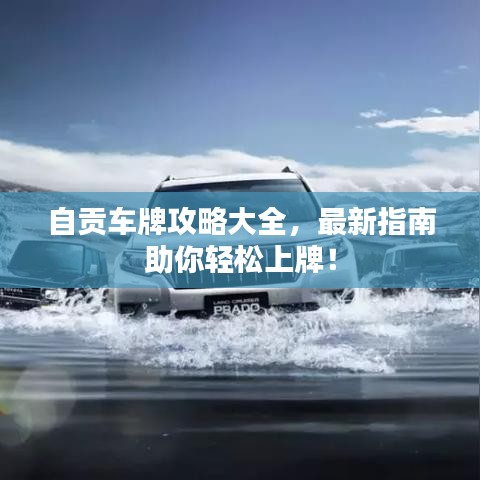 自貢車牌攻略大全，最新指南助你輕松上牌！