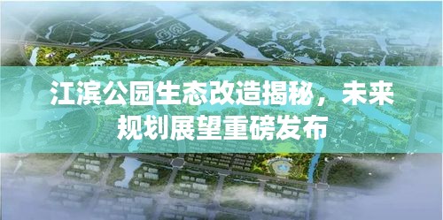 江濱公園生態(tài)改造揭秘，未來(lái)規(guī)劃展望重磅發(fā)布