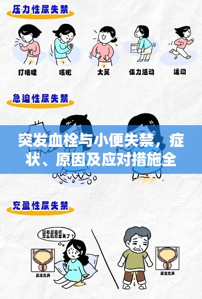 突發(fā)血栓與小便失禁，癥狀、原因及應(yīng)對措施全解析