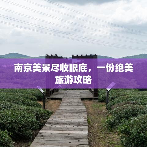 南京美景盡收眼底，一份絕美旅游攻略