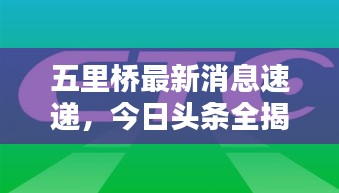 2025年5月 第51頁
