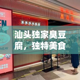 汕頭獨(dú)家臭豆腐，獨(dú)特美食之旅，讓你一吃難忘！