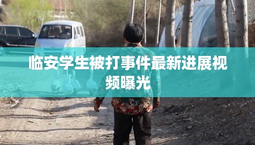 臨安學生被打事件最新進展視頻曝光