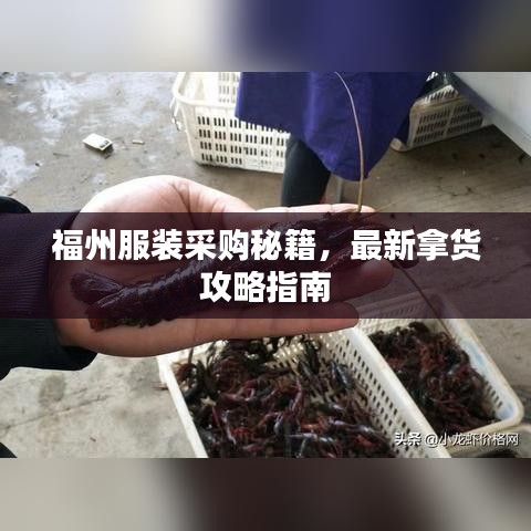 福州服裝采購(gòu)秘籍，最新拿貨攻略指南