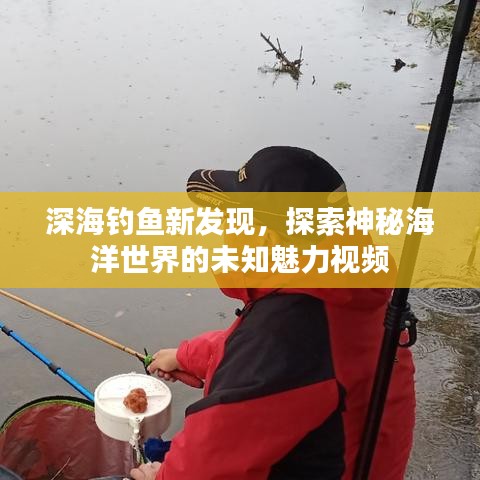 深海釣魚新發(fā)現(xiàn)，探索神秘海洋世界的未知魅力視頻