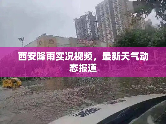西安降雨實(shí)況視頻，最新天氣動(dòng)態(tài)報(bào)道