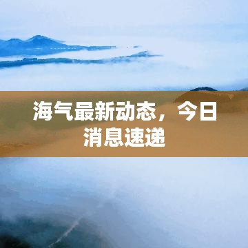 海氣最新動態(tài)，今日消息速遞