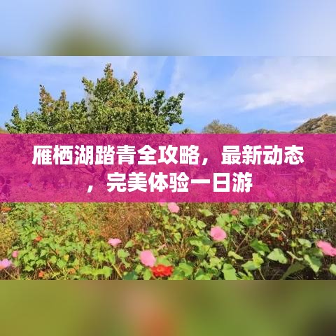 雁棲湖踏青全攻略，最新動(dòng)態(tài)，完美體驗(yàn)一日游