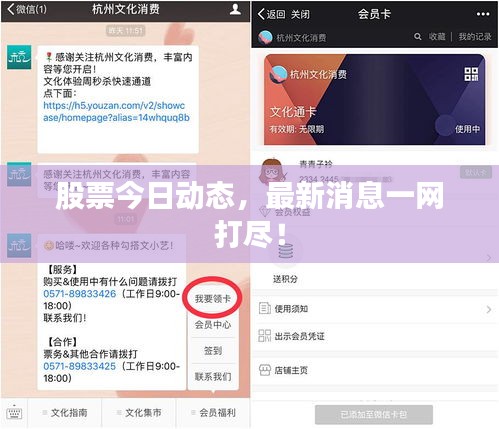 股票今日動態(tài)，最新消息一網(wǎng)打盡！