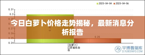 今日白蘿卜價(jià)格走勢(shì)揭秘，最新消息分析報(bào)告
