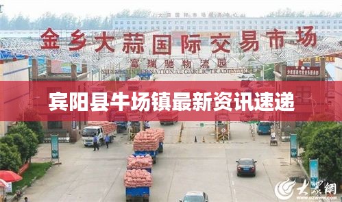 賓陽縣牛場(chǎng)鎮(zhèn)最新資訊速遞