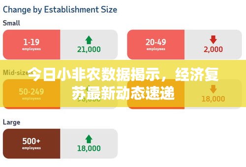 今日小非農(nóng)數(shù)據(jù)揭示，經(jīng)濟(jì)復(fù)蘇最新動態(tài)速遞