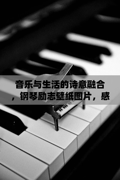 音樂與生活的詩意融合，鋼琴勵志壁紙圖片，感受美好瞬間