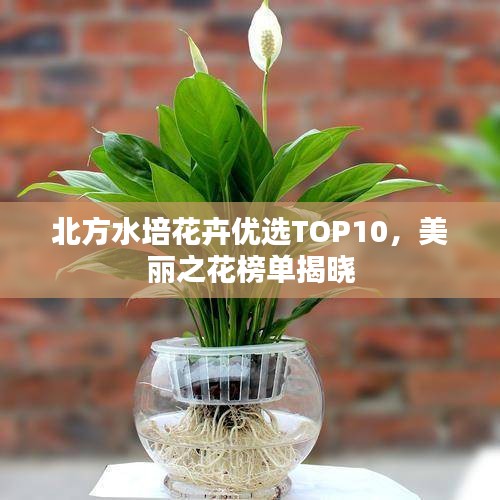 簞瓢陋巷