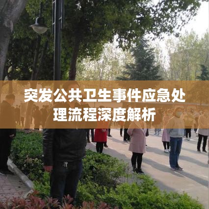 突發(fā)公共衛(wèi)生事件應(yīng)急處理流程深度解析