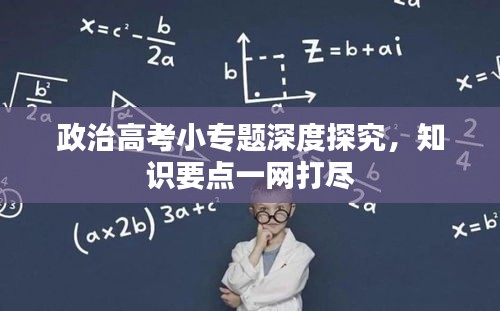 政治高考小專題深度探究，知識要點一網(wǎng)打盡